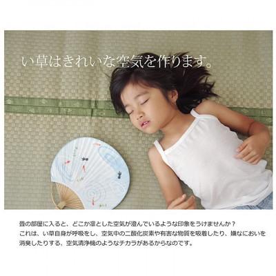 ふるさと納税 八代市 い草 上敷き 不知火 江戸間 6畳 261×352cm【イケヒコ・コーポレーション】(八代市) |  | 02