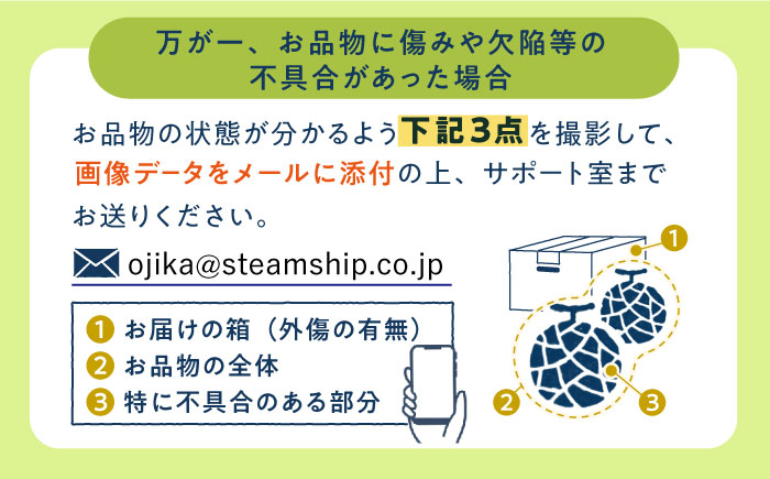 【12月上旬発送分】アールスメロン 約4kg（2玉） マスク メロン 島 めろん メロン アールス メロン めろん 果物 フルーツ 五島列島《小値賀町》【ながさき西海農協小値賀地区園芸部会】[DAT0