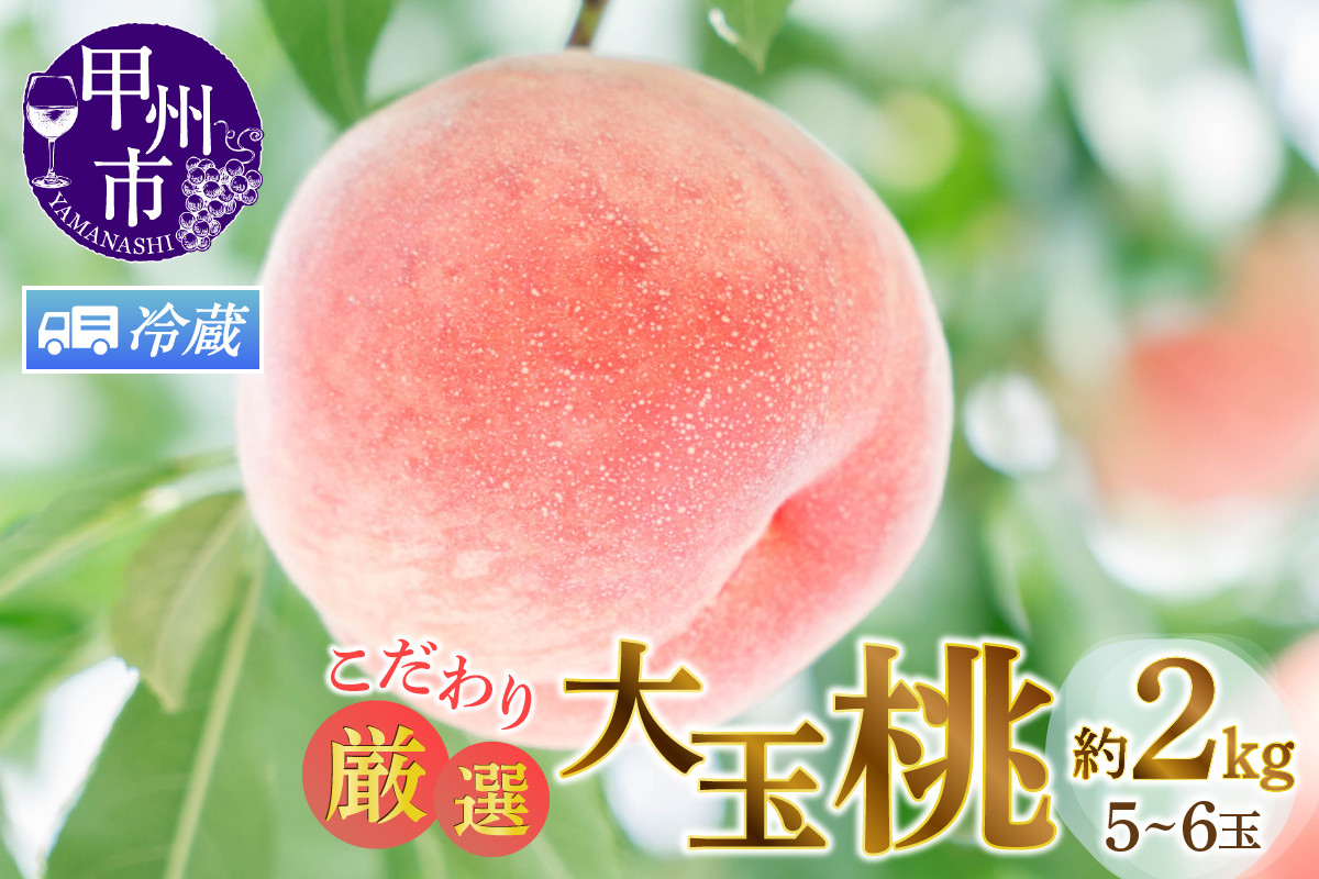 
            【選べる発送年度】【クール便発送】甲州市産厳選旬の桃大玉 約2kg 5～6玉入り【2025年発送】【2026年発送】（MG）B-481CO 【桃 もも モモ 令和7年発送 令和8年発送 期間限定 大玉 山梨県産 甲州市 フルーツ 果物】
          