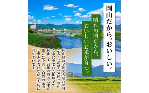 ※卵はついていません。