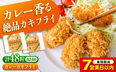 【スピード発送】お惣菜 カキフライ カレー 48粒 [BACG011] 惣菜