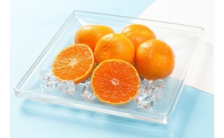 1985R_【7月中旬から発送予定】楠本農園直送！こだわりハウスみかん 約2kg ※化粧箱入り