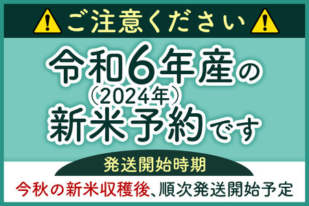 《新米先行受付》《定期便10ヶ月》【無洗米】あきたこまち 5kg 秋田県産 令和6年産  こまちライン