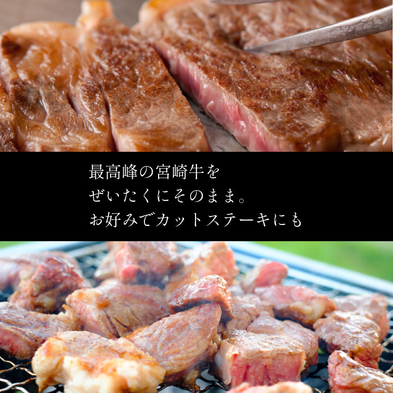 宮崎牛 ロースステーキ 合計500g（250g×2P） 国産 肉 牛肉 ご飯 おかず BBQ ディナー お祝い 【C270-2502】_イメージ4