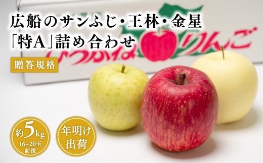 
                  ≪年明け発送≫ りんご サンふじ・王林・金星 約5kg 詰合せ 贈答規格 「特A」【広船アップルクラブ】
                