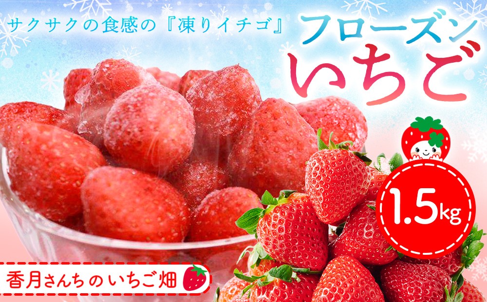 
                  フローズンいちご 1.5kg 【フルーツ フローズン ジャム スムージー 冷凍 解凍 練乳 牛乳 砂糖】(H017122)
                