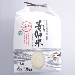 令和7年産 等伯米こしひかり10kg(5kg×2袋)  | 能登 こめ 国産 訳あり 生活応援価格 ご家庭用 石川県 七尾市 ※2026年6月～発送