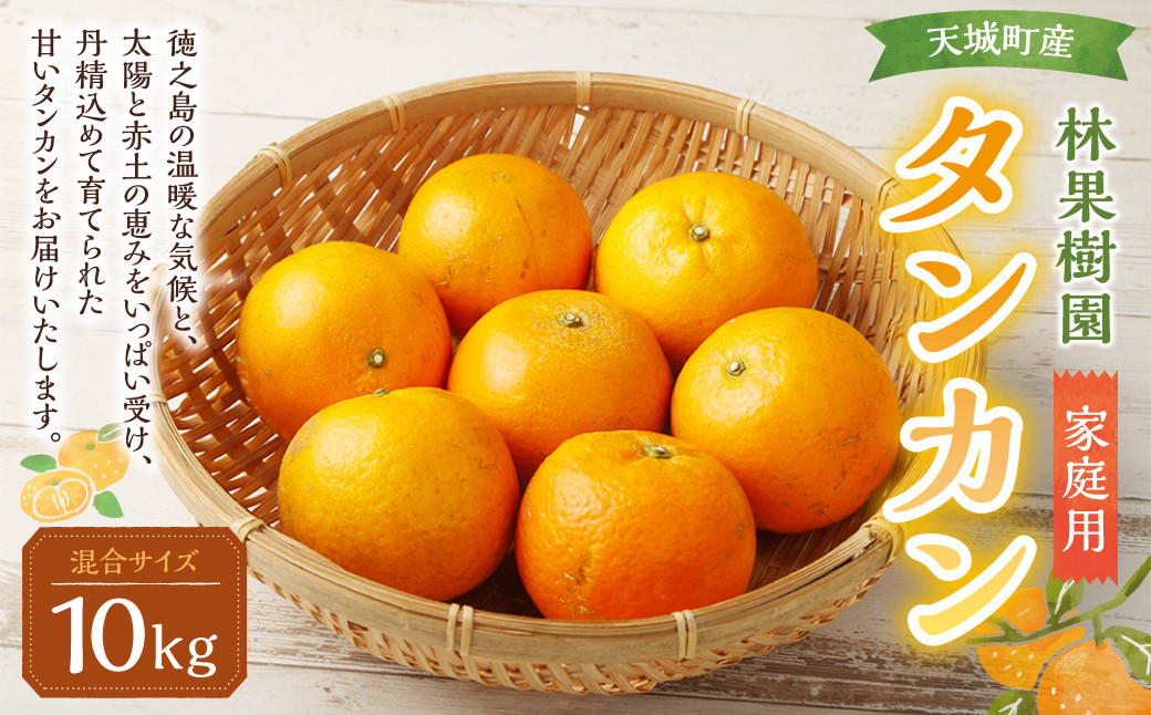 
                  【鹿児島天城町】林果樹園 徳之島産 タンカン【ご家庭用】混合サイズ 10kg 柑橘 タンカン みかん AZ-2-N
                