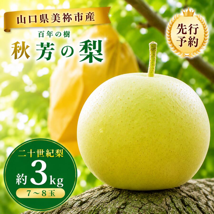 【ふるさと納税】 美祢市産 二十世紀梨 (秋芳の梨 百年の樹)（ 約 3kg ）先行予約〈2026年9月上旬〜9月末頃 発送予定〉｜ 二十世紀 なし 梨 フルーツ 百年の樹 特産品 美祢市 美祢 山口県 山口 秋芳町 秋芳 カルスト台地 先行予約