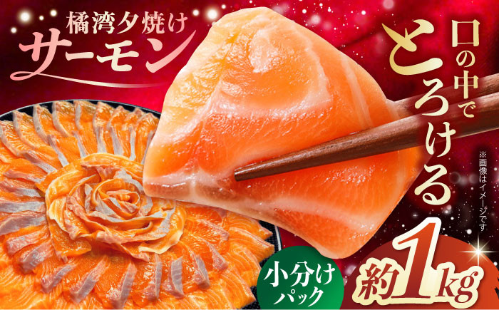 
            【スピード発送】長崎県雲仙産 橘湾夕焼けサーモン 約1kg 長崎県/株式会社天洋丸 小分け 養殖 サーモン 国産 [42ALAC002]
          