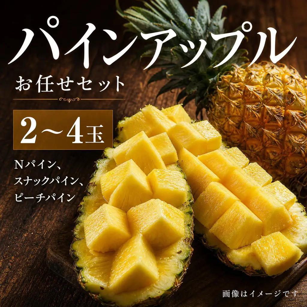 パインアップル お任せセット 2～4玉 パイナップル