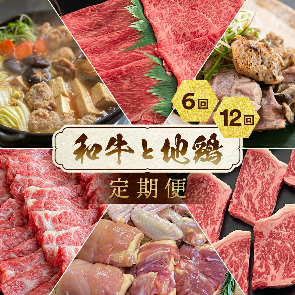 【ふるさと納税】【6回または12回定期便】訳あり 和牛と地鶏 ＜京都亀岡丹波山本×ひら山＞京の肉＆地鶏丹波黒どり・丹波赤どり お楽しみセット≪定期便 肉 12回 12ヶ月 6回 6ヶ月 1年間 半年 鶏肉 牛肉 地鶏 黒毛和牛 国産 お肉 小分け≫◇