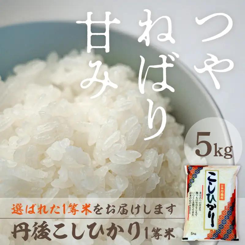 丹後コシヒカリ1等米令和7年産 5kgコシヒカリ