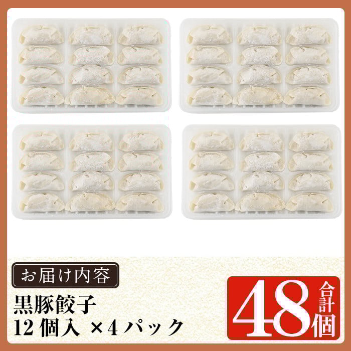 a441 鹿児島黒豚「短鼻豚」無添加餃子セット48個【鹿児島ますや】姶良市 ギョーザ 餃子 無添加 惣菜 おかず  おつまみ 冷凍 黒豚 国産野菜 ぎょうざ