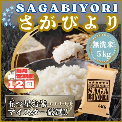 ふるさと納税 江北町 【毎月定期便】【無洗米】さがびより5kg(江北町)全12回