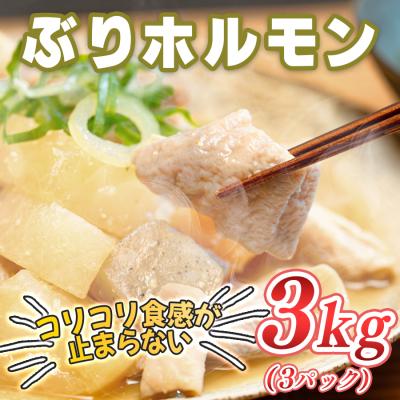ふるさと納税 大月町 ぶりホルモン 3kg 希少部位 養殖ブリ 鰤 内臓 珍味 おつまみ 下処理済み 魚 海鮮 魚介 高知