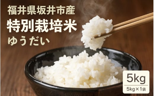 【令和6年産】 坂井市産 特別栽培米 ゆうだい 5kg 減農薬 減化学肥料 【お米 5キロ 特別栽培 ふるさと納税米 産地直送 福井県】 [A-4842]