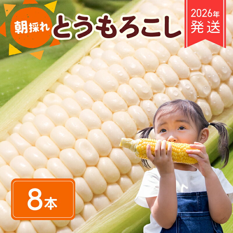 【ふるさと納税】 2026年 先行予約 白とうもろこし 8本 ホワイトコーン ホワイト コーン スイートコーン 生 白 新鮮 ジューシー 旬 野菜 やさい 夏野菜 朝採り とうきび バーベキュー 数量限定 季節限定 送料無料 産地直送 冷蔵 千葉県 旭市 株式会社はなわ農園