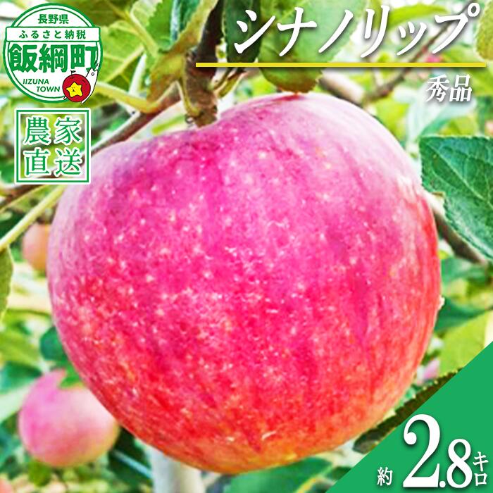 【ふるさと納税】 りんご シナノリップ 秀 2.8kg 信州りんご☆小山園☆ 沖縄県への配送不可 令和8年度収穫分 エコファーマー認定 小山園 長野県 飯綱町 〔 信州 果物 フルーツ リンゴ 長野 12000円 予約 農家直送 〕発送時期：2026年8月中旬〜2026年8月下旬
