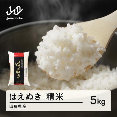 ふるさと納税 山辺町 新米【2025年12月中旬〜12月下旬頃に発送】はえぬき 精米 5kg tf-hasxb5-12s