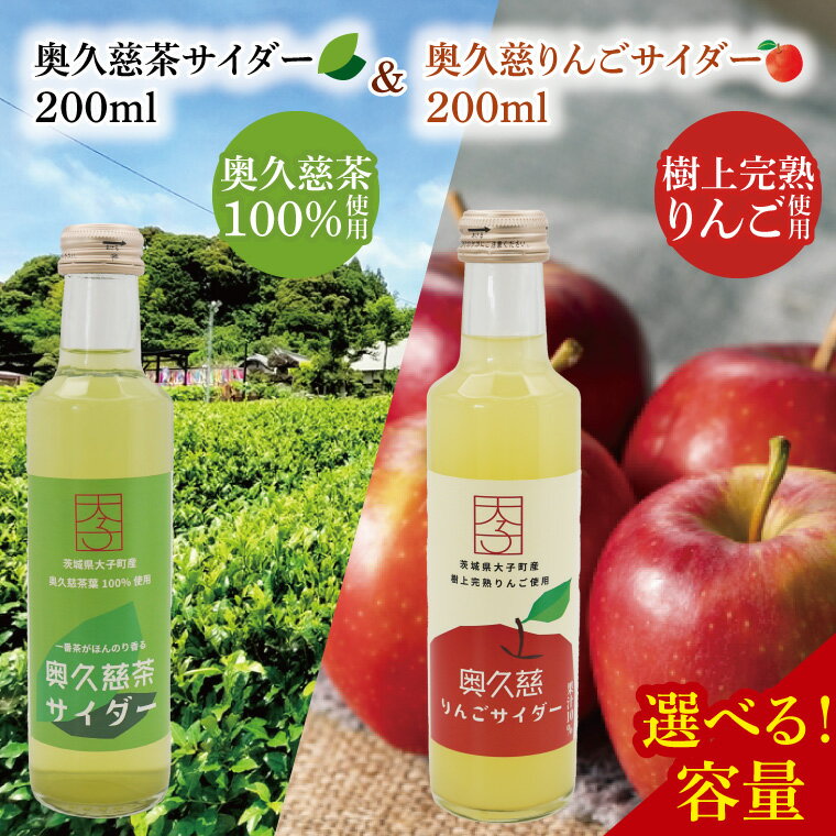 【ふるさと納税】【選べる容量！】奥久慈茶サイダー＆奥久慈りんごサイダー｜茨城県 大子町 緑茶 りんご リンゴ 林檎 ジュース 飲料 爽やか（AV013）