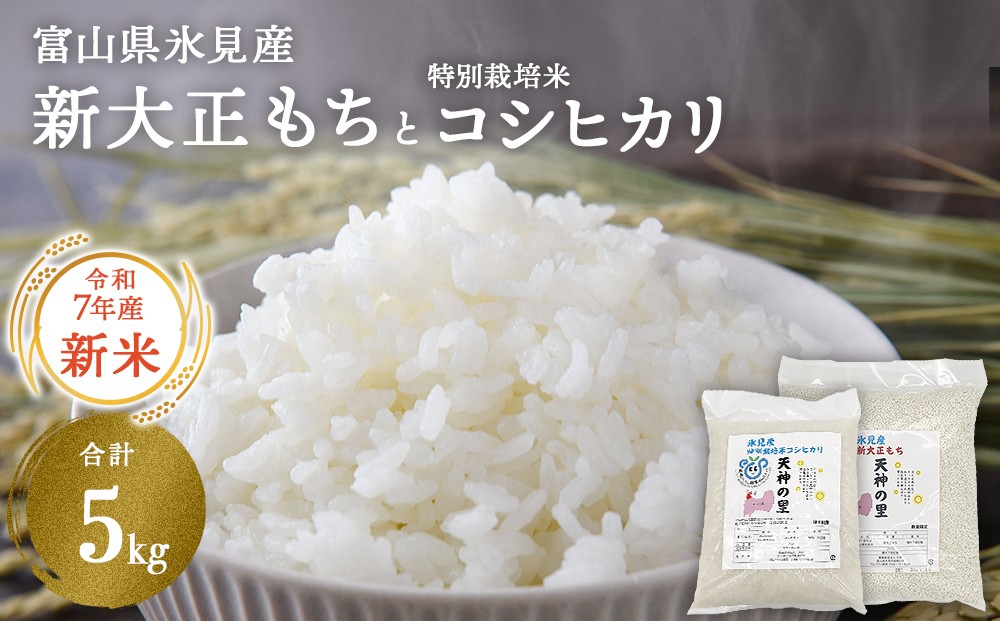 
            〈令和7年産〉富山県氷見産 新大正もち（3kg）と特別栽培米 コシヒカリ（2kg）のセット ＜2025年10月中旬以降順次発送＞ | お米 白米 精米 氷見 富山 米 国産 特別栽培 エコファーマー 数量限定 コシヒカリ こしひかり 人気 お取り寄せ 減農薬 減化学肥料 安心 安全 環境にやさしい 農家直送 天神の里 餅 米 もち米 おこわ 新大正糯 希少 品種
          