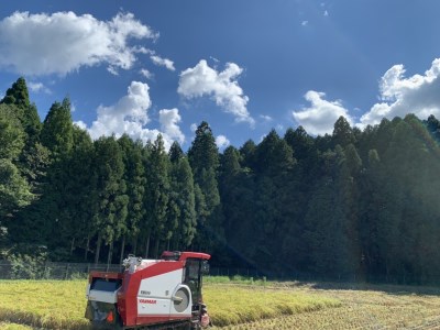 かみいしづのお米『かみむすび』(こしひかり) 白米・5kg