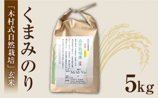 【 令和5年産 新米 ☆先行予約】【3回定期便】【木村式自然栽培】 玄米 くまみのり 約 5kg ＜ハマソウファーム＞ [CBR021]