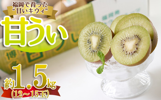 福岡限定!ブランドキウイ「甘うぃ(あまうぃ)」約1.5kg箱(12-15玉) 4A20
