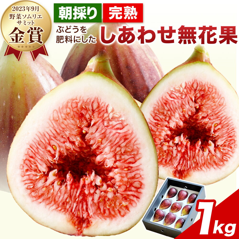 【ふるさと納税】いちじく 朝採り完熟 ぶどうを肥料にした しあわせ無花果 約1kg 2023年9月野菜ソムリエサミット金賞受賞 ハッピーファーム《2026年8月中旬-10月上旬頃出荷》大阪府 羽曳野市 送料無料 いちじく 無花果 果物 フルーツ 樹上完熟