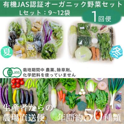 ふるさと納税 掛川市 しあわせ野菜畑の有機野菜　Lセット　(安心の有機JAS認証　旬のオーガニック野菜　農場直送便)