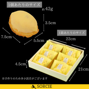 【着日指定可】焼き菓子 ギフト レモンケーキ 6個入 【 手提げ袋付 】 スイーツ 個包装 | デザート ケーキ お菓子 洋菓子 冷凍 着日指定 お誕生日 誕生日 ギフト お祝い 愛媛県 松山市【IT