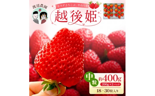 【先行予約 | 2027年5月下旬より出荷開始】いちご 中粒 カラダよろこぶ 越後姫 約200g×2パック (18～30粒入り) イチゴ 苺 定植後化学農薬不使用 渡辺農園 上越市 新潟県 