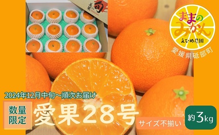 ＜産地直送＞【数量限定】みかん「愛果28号」サイズ不揃い3キロ家庭用 12月中旬頃～順次発送【訳あり ふぞろい 甘い みかん 愛媛】