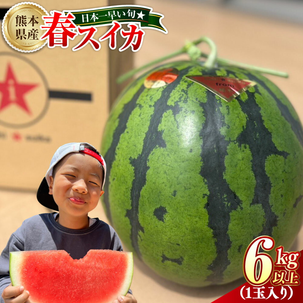 【ふるさと納税】日本一早い旬☆熊本県産春スイカ 1玉入り 6kg以上 スイカ すいか 西瓜 春スイカ 肥後漫遊 フルーツ くだもの 果物 果実 デザート 熊本県産 国産 九州 熊本県 送料無料 【2026年4月上旬発送開始】