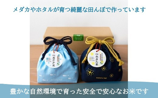 令和7年産 新米 門崎めだか米・ホタル米セット（各3合×2袋 合計12合）【オリジナル巾着袋＆ギフトボックス付】