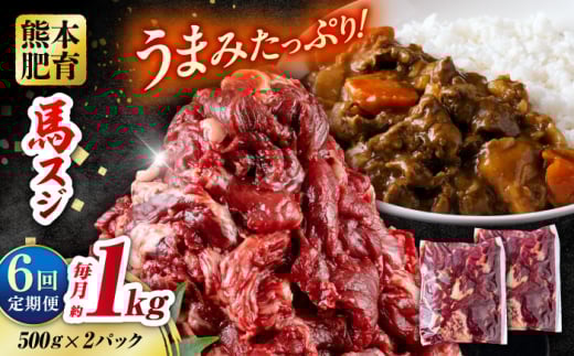 【全6回定期便】 馬スジ 計6kg 1回あたり1kg（500g×2パック） / 肉 お肉 馬肉 スジ 筋 煮込み 冷凍 馬スジ 馬すじ 馬 肉 すじ肉 煮込み 熊本県 合志市【五右衛門フーズ熊本店】 [AYBV032]