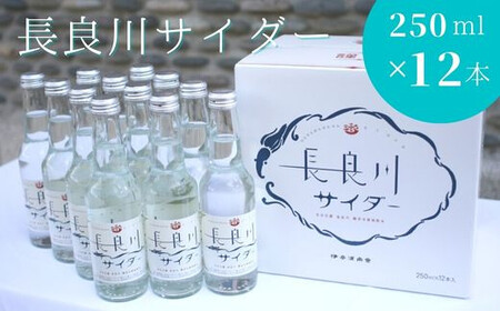 長良川サイダー 12本セット 炭酸飲料 爽快 瓶入りサイダー 岐阜市/岐阜県名産販売 [ANAB013]