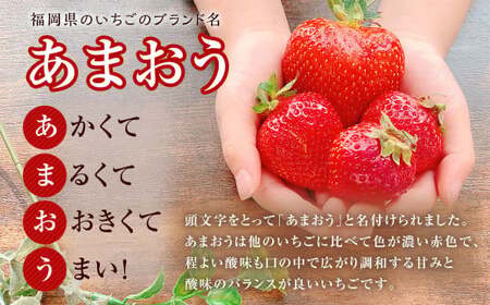 【特別栽培／有機質肥料／アフター保証】うるう農園 あまおう サイズ色々 6パック（約1710g）【2026年2月上旬～4月上旬発送予定】いちご イチゴ 苺 フルーツ 果物