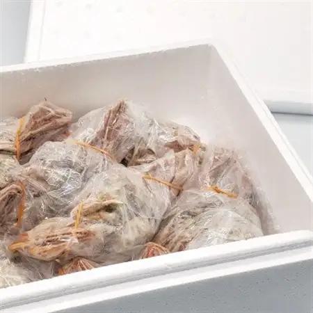 松葉ガニの本場　訳あり釜茹でセコガニ姿(冷凍)小サイズ5杯　高鮮度3D凍結　せいこがに　親ガニ　メス【配送不可地域：離島】【1134047】
