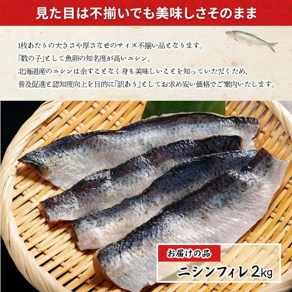 【訳あり】【骨切り加工】北海道産ニシンフィレ 2kg ABAE1008 | ニシン 骨取り