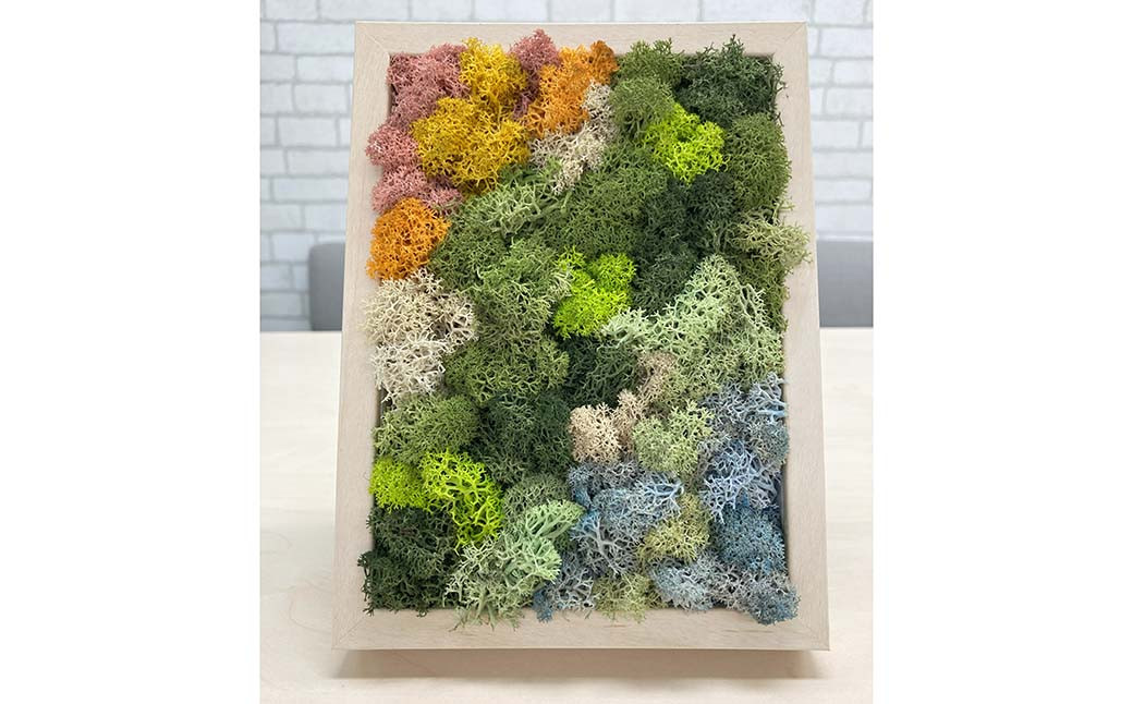 
            スカンディアモス アートワーク 枠カラー：バーチ調 （19.6cm×14.8cm×H4～5cm） インテリア 【5月上旬発送開始予定】
          