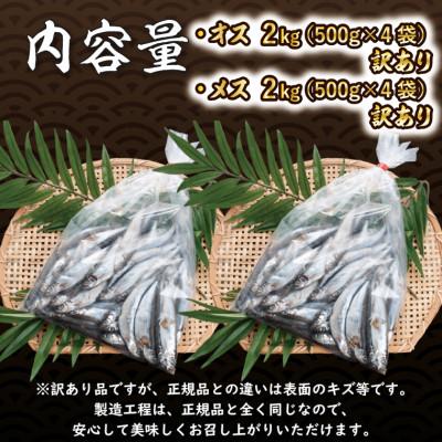 ふるさと納税 大洗町 カラフトシシャモ雄雌食べ比べ4kgセット |  | 02