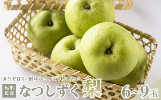 
            尾形農園のなつしずく梨（2）【6～9玉入り】【フルーツ 果物 くだもの 食品 人気 おすすめ 送料無料】
          