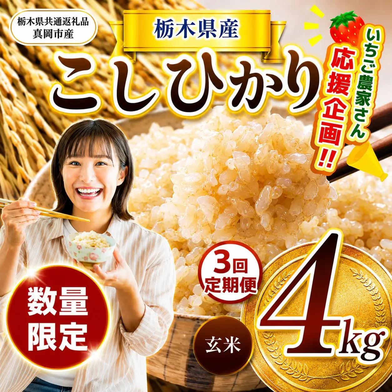 【定期3回】先行予約 令和8年度産 栃木県産こしひかり（玄米）約4kg