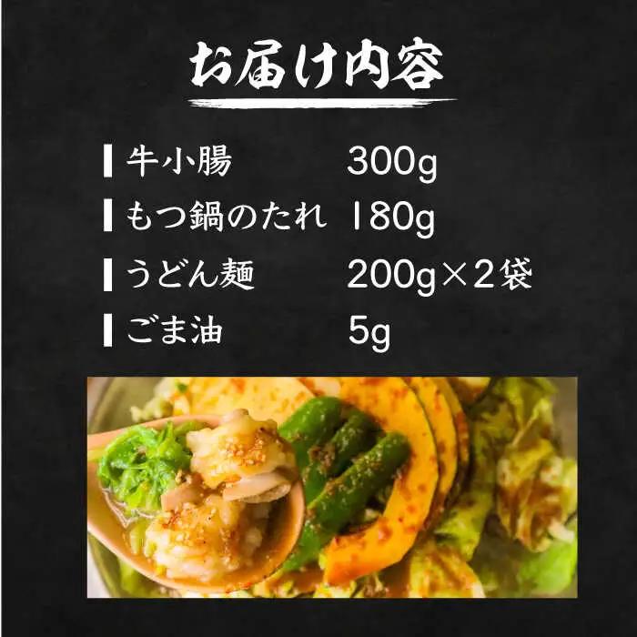 【全国放送】元祖味噌もつ鍋 平壌屋おすすめ 2-3人用 うどん VAH045 国産牛 もつ鍋 ホルモン