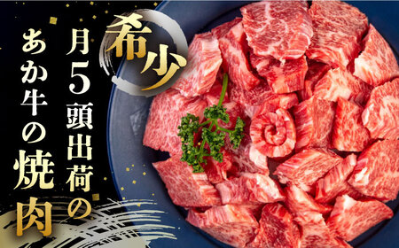 長崎和牛 あか牛 焼肉用 1kg (500g×2)《対馬市》【高田牧場】 対馬 牛 和牛 焼肉 冷凍配送[WCR004]