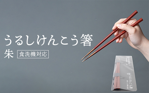 華正工房 うるしけんこう箸 食洗機対応 朱 (簡易包装) F6P-2842