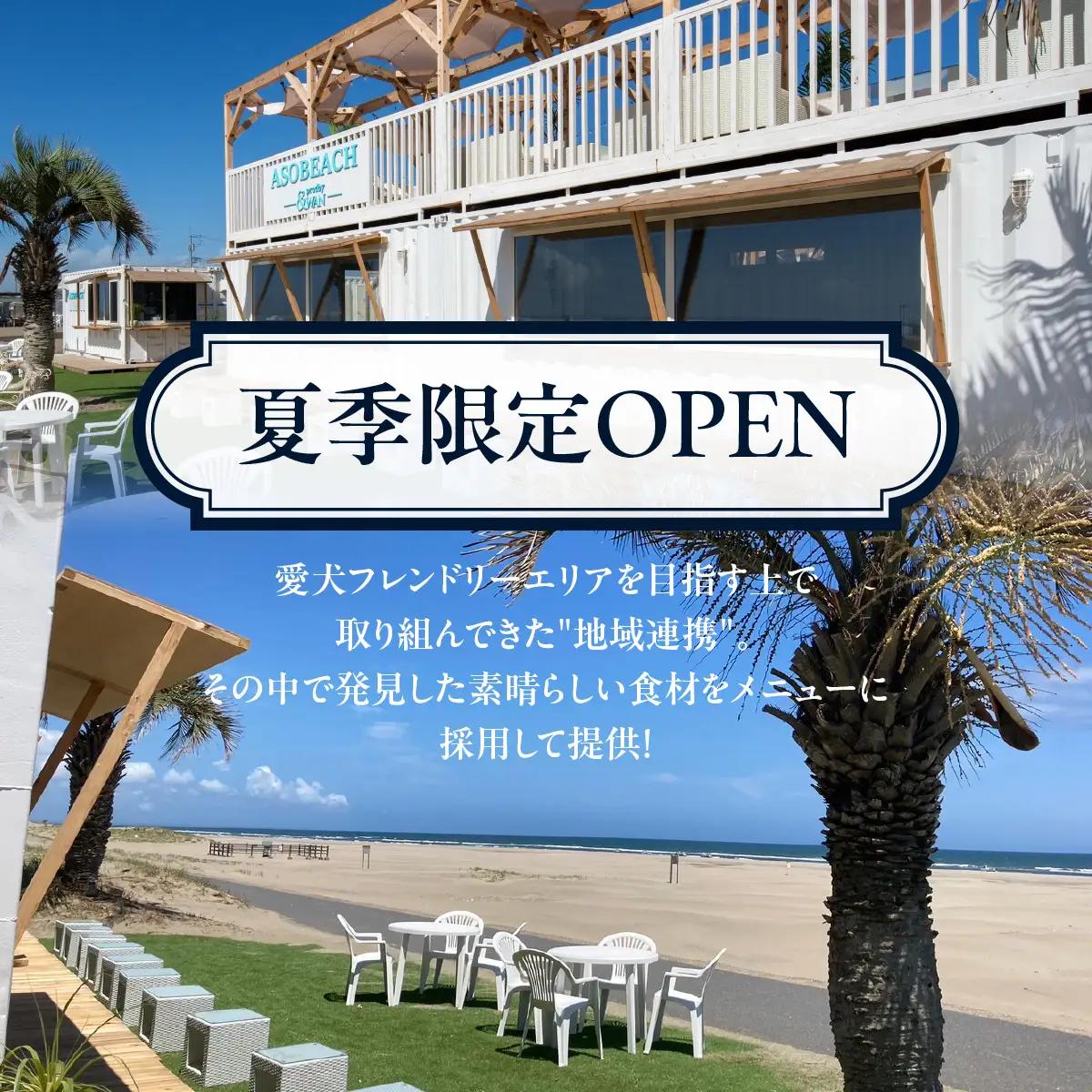 ASOBEACH 愛犬と過ごす海の家 VIP席半分貸切＋食べ飲み放題(最大8名) /ふるさと納税 チケット 旅行 ペット わんちゃん ドッグラン＆WAN アンドワン 犬 いぬ イヌ 海の家 九十九里 