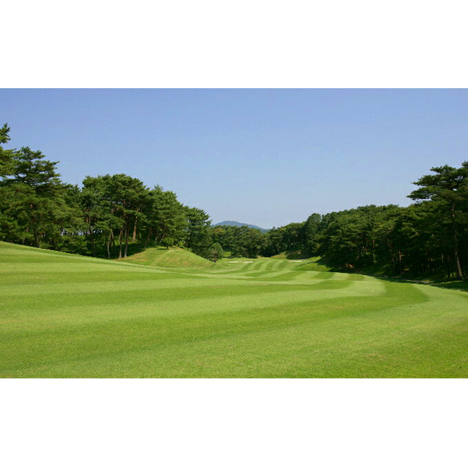 【ふるさと納税】浜松カントリークラブ ゴルフプレー券 18ホール 1名様分 ゴルフ場利用権 平日限定 キャディ付き 林間コース 静岡県浜松市